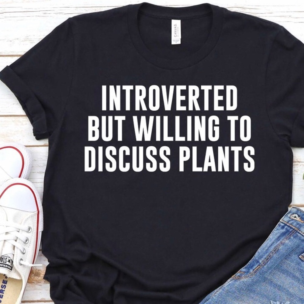 Introverted - Picture 1 of 1